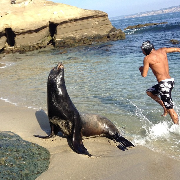 Guy jumps by seal
